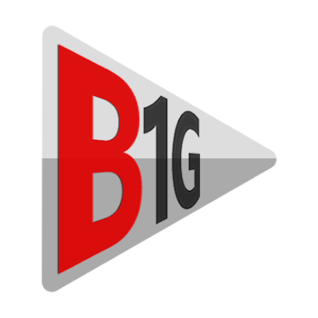 B1G iptv